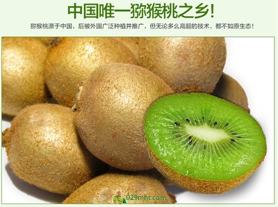 【預售開啟】2015年度優質徐香獼猴桃，邀您搶先品嘗金秋碩果