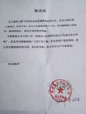 愛心傳遞周至 40萬斤獼猴桃滯銷待援，無聲老人與留守兒童的期盼