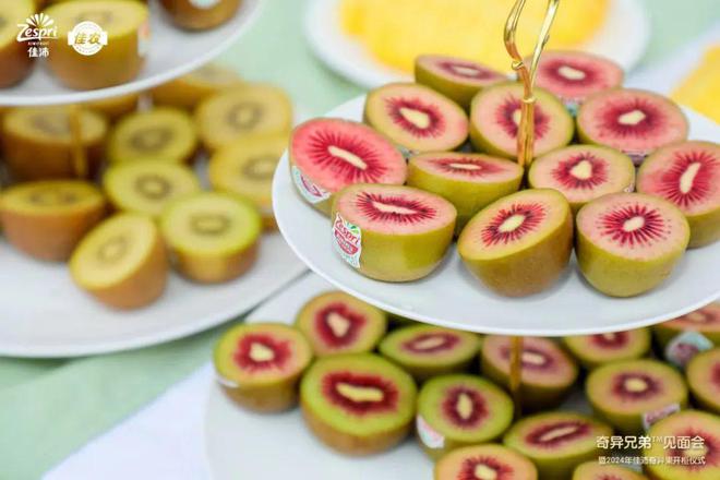 孝感首衡城佳沛奇異果新果開(kāi)柜上市！獼猴桃銷售迎來(lái)新旺季